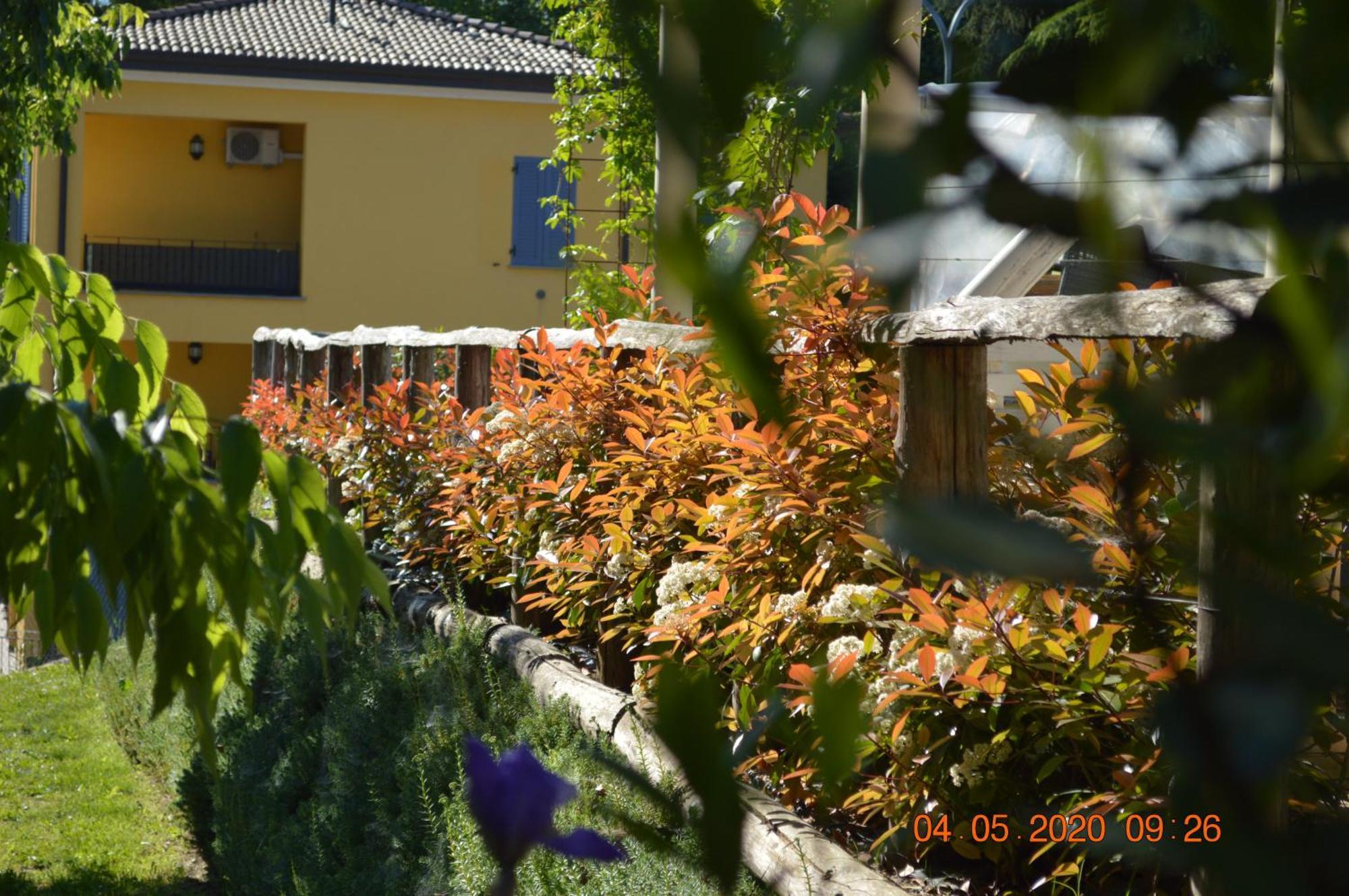 Villa Dacia Guiglia Exterior foto
